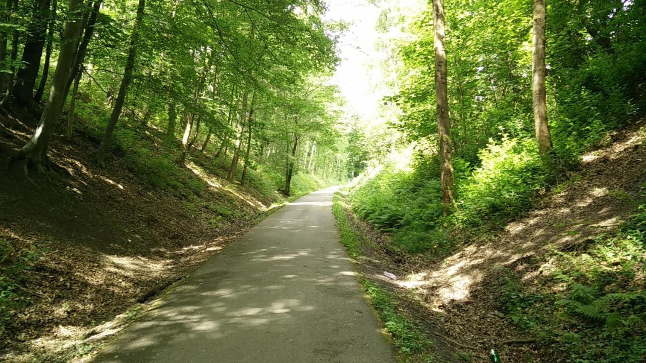 Des 2 Chenes Entre Avenue Verte, Lacs, Piscine Et Casino Forges-les-Eaux