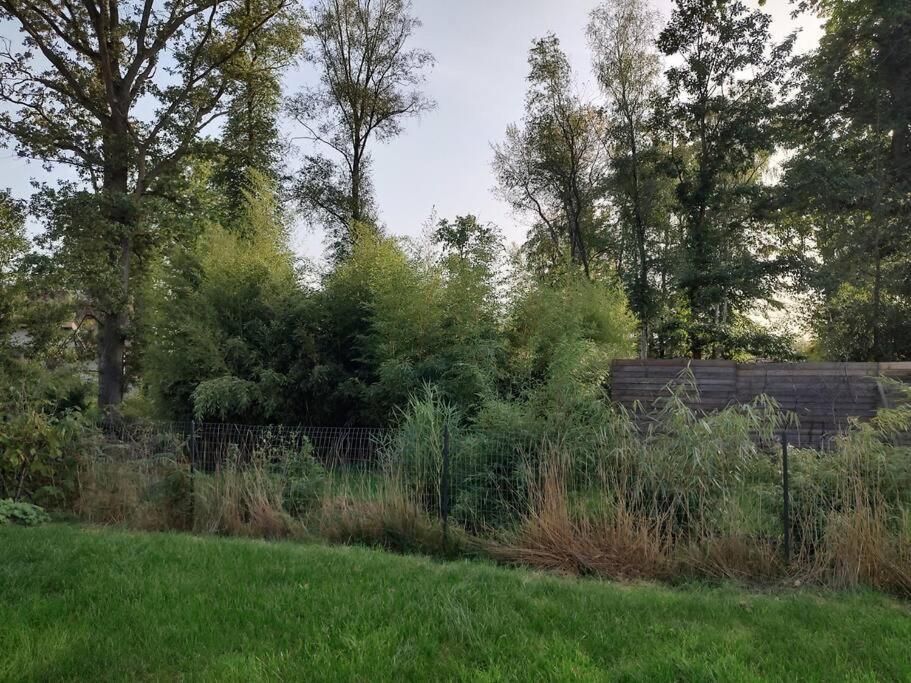 Des 2 Chenes Entre Avenue Verte, Lacs, Piscine Et Casino * Forges-les-Eaux